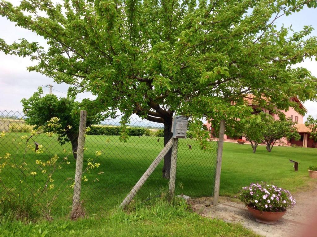 Agriturismo Podere Cirene Rispescia Exterior foto